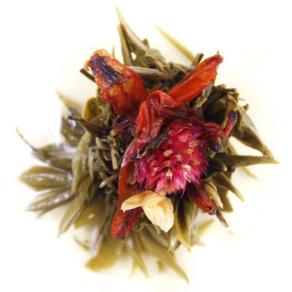 Red Flower Burst Tea Flower-0