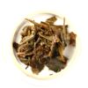 Nepal 1st Flush Jun Chiyabari-5947