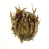 Red Flower Burst Tea Flower-2430