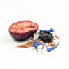 Rooibos Blueberry and Yogurt-6985