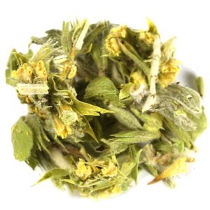 Mountain Tea Sideritis Scardica Olympus Tea-0