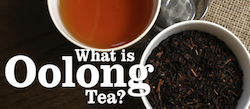 What is Oolong Tea