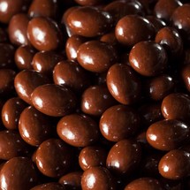 Chocolate Covered Coffee Beans