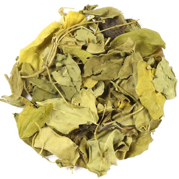 Moringa Tea-0