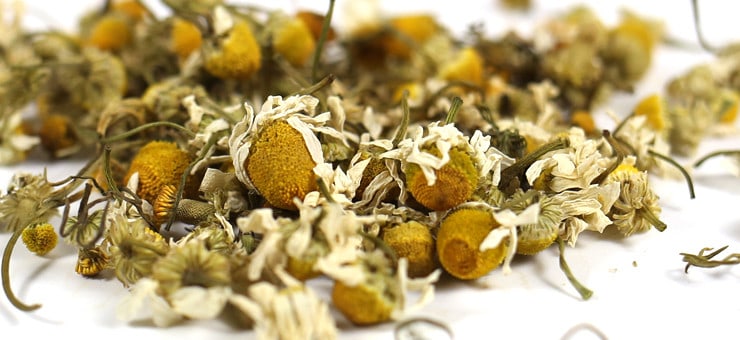 Camomile Flower Loose Tea