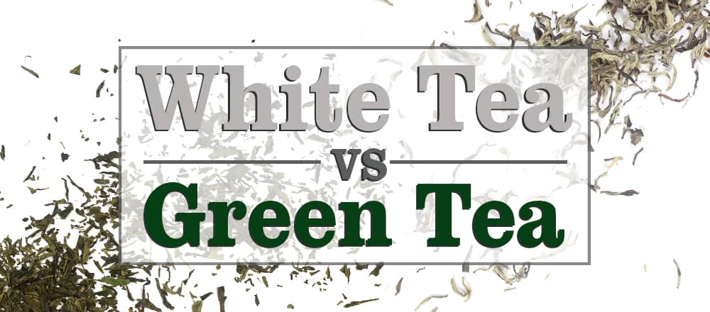 White Tea vs Green Tea