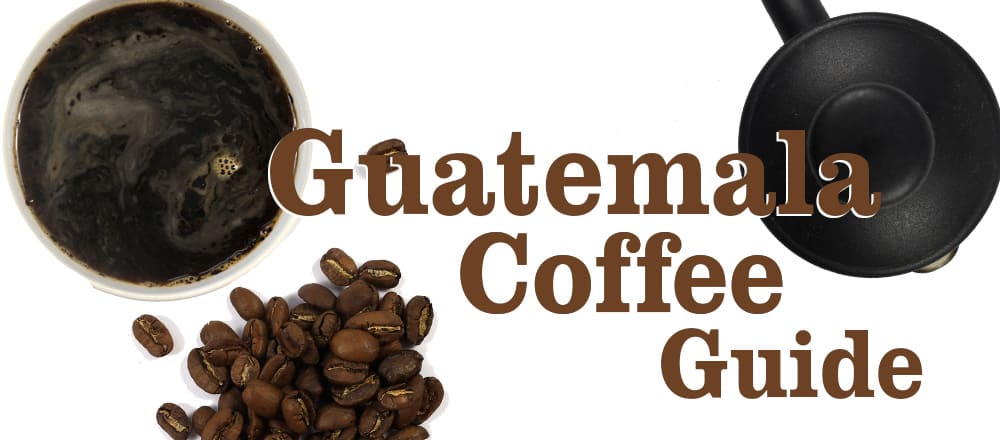 Guatemala Coffee Guide