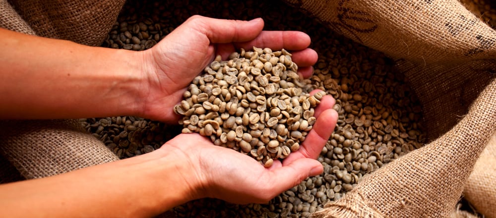 Guatemala Coffee Production