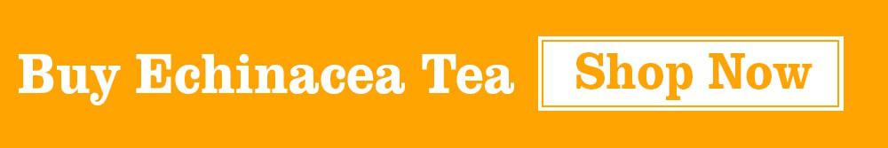 Buy Echineacea Tea