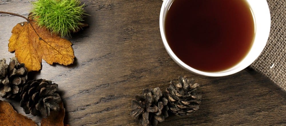 Best Teas for Autumn