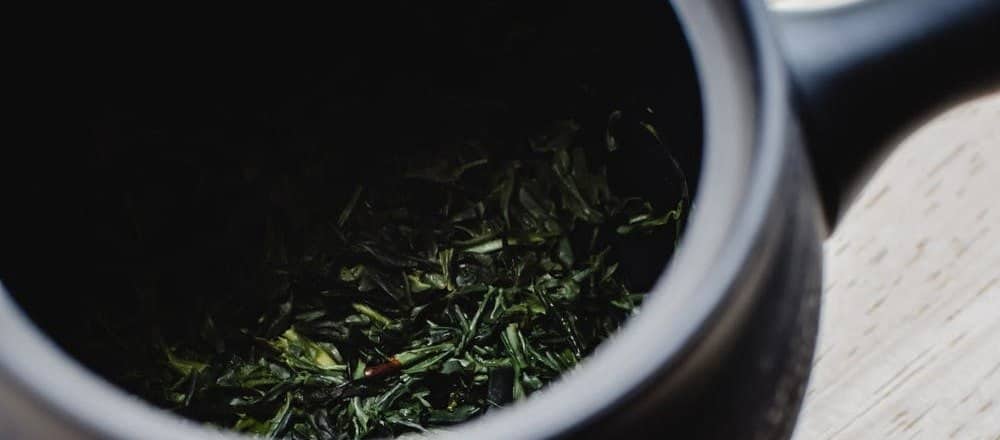 Does green tea help you lose weight