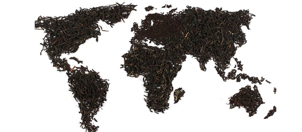 Which Country Drinks the Most Tea