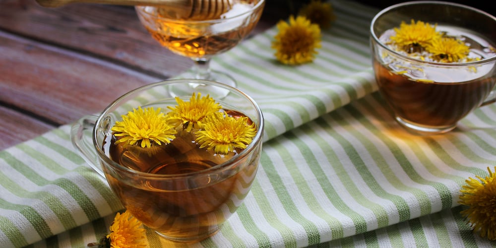 Dandelion and Cancer Study and Research