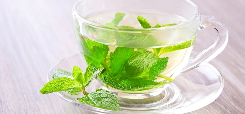 Does Peppermint Tea Help Gerd Symptoms?