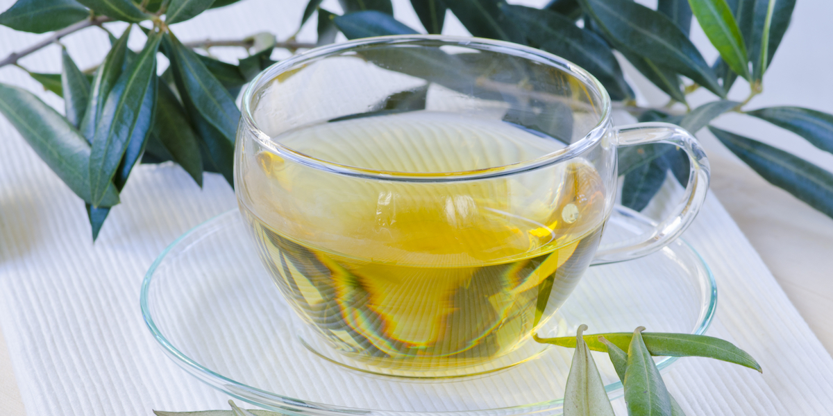 Olive Leaf Tea Side Effects