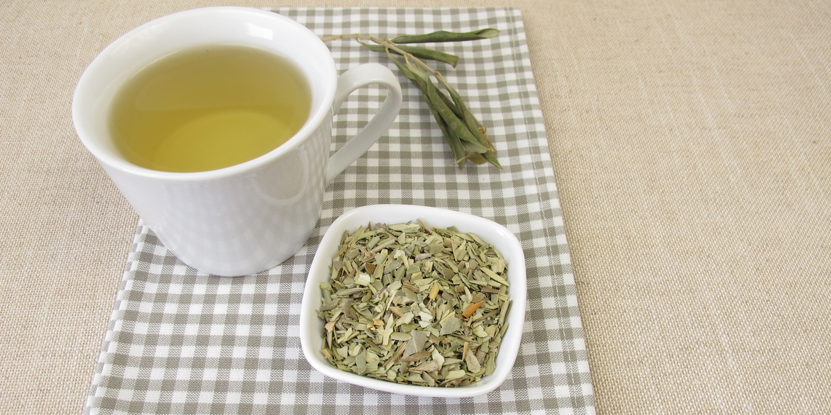 Olive Leaves Tea for Gout Health