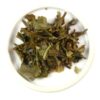 2022 Selimbong Darjeeling First Flush Tea-6829