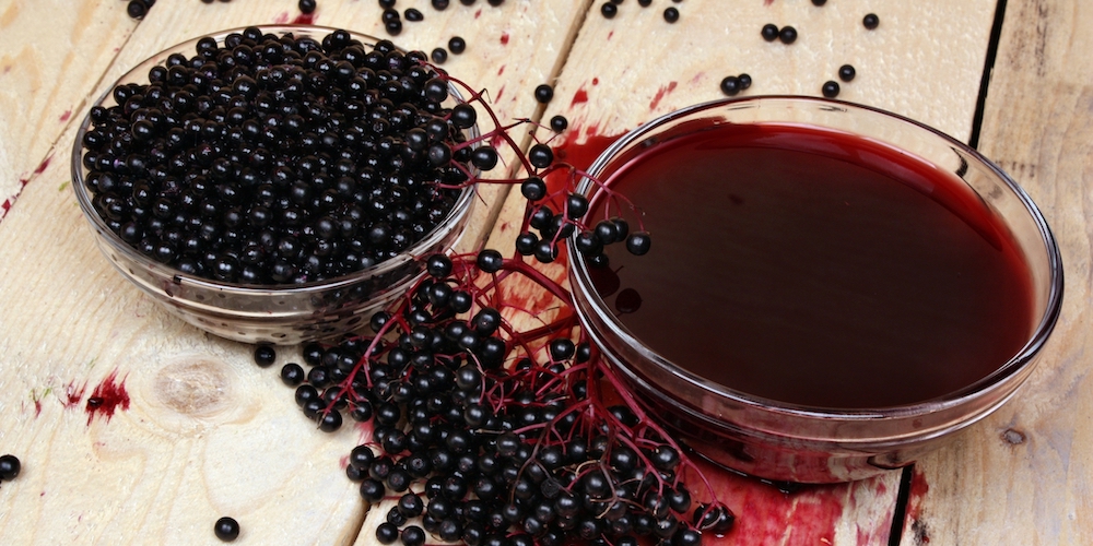 Elderberry Tea Benefits