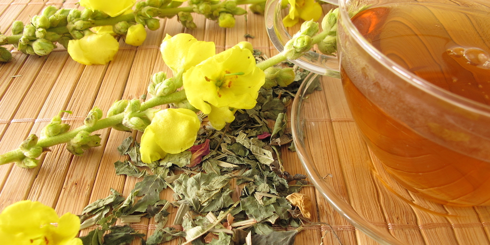 Mullein Tea Benefits