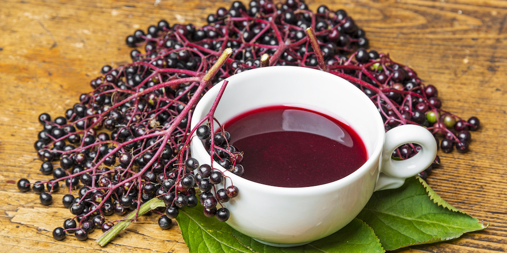 What is Elderberry Tea?