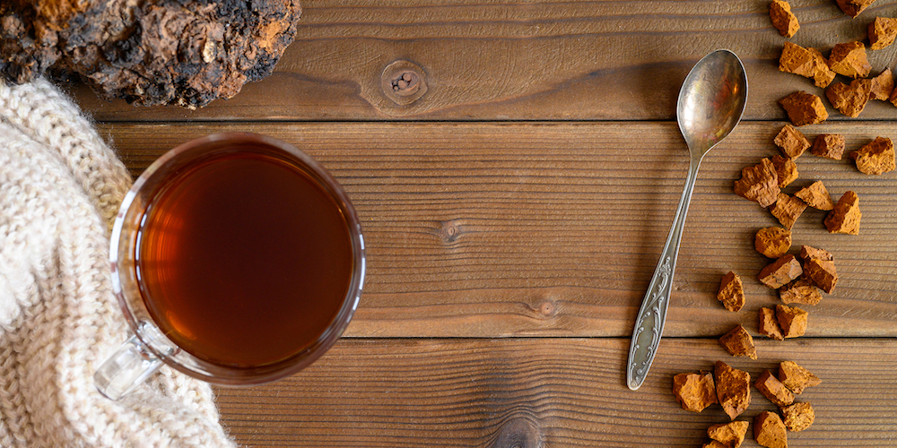 How to Make Chaga tea