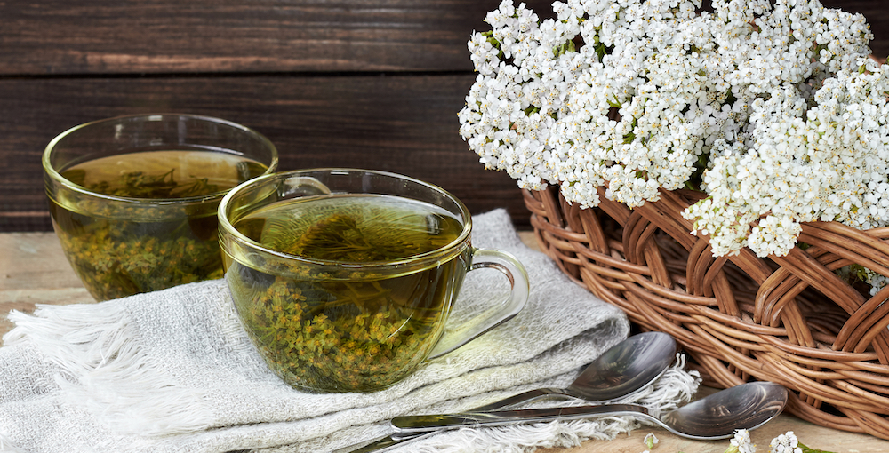 Yarrow Tea Benefits