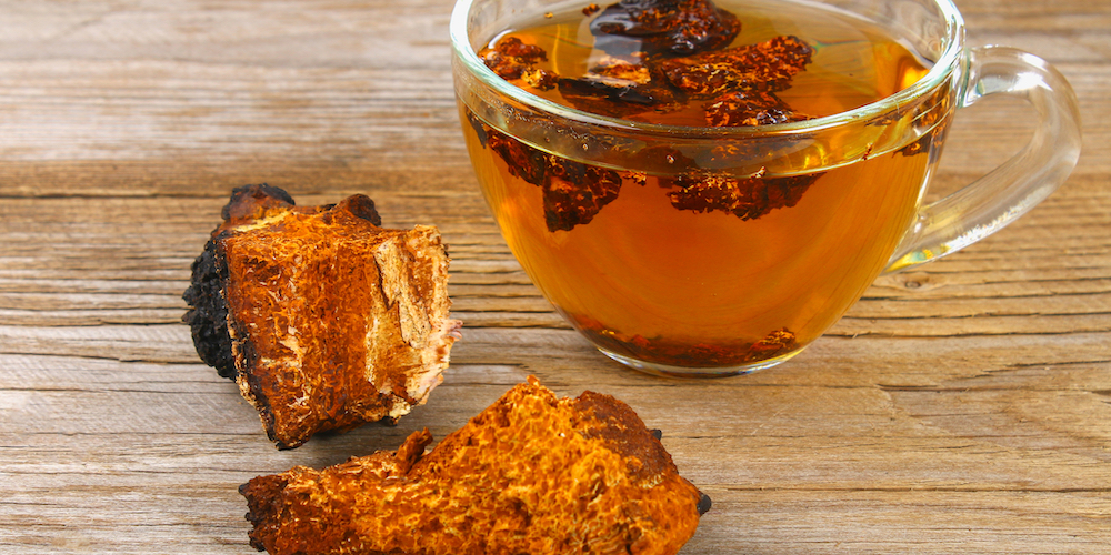 benefits of chaga tea