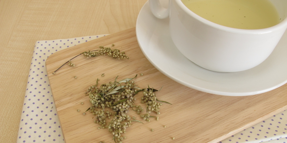 How to Make Mugwort Tea