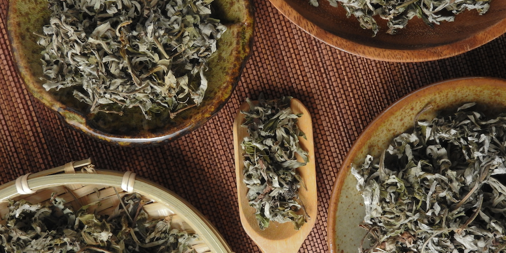 Mugwort Tea Helps you Lose Weight