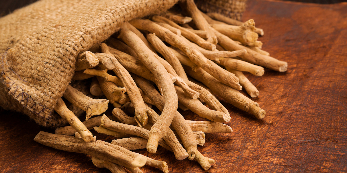 Ashwagandha Helps with Testosterone Levels