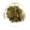 2023 Jungpana Darjeeling First Flush Tea-6868