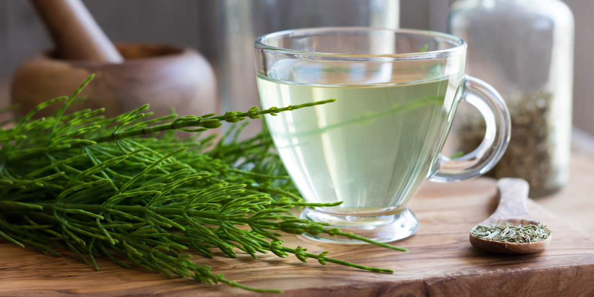 Horsetail Tea Benefits