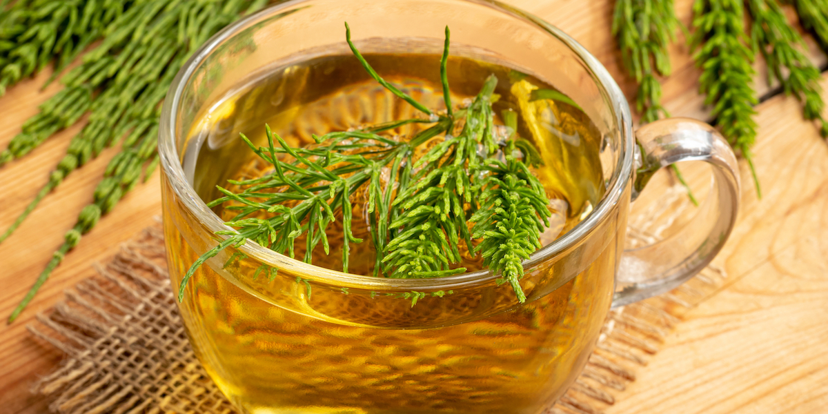 Horsetail Tea May Help with Weight Loss