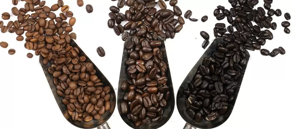 Coffee Buying Guide