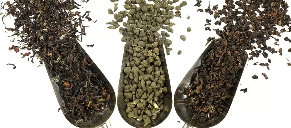 Oolong Tea Buying Guide