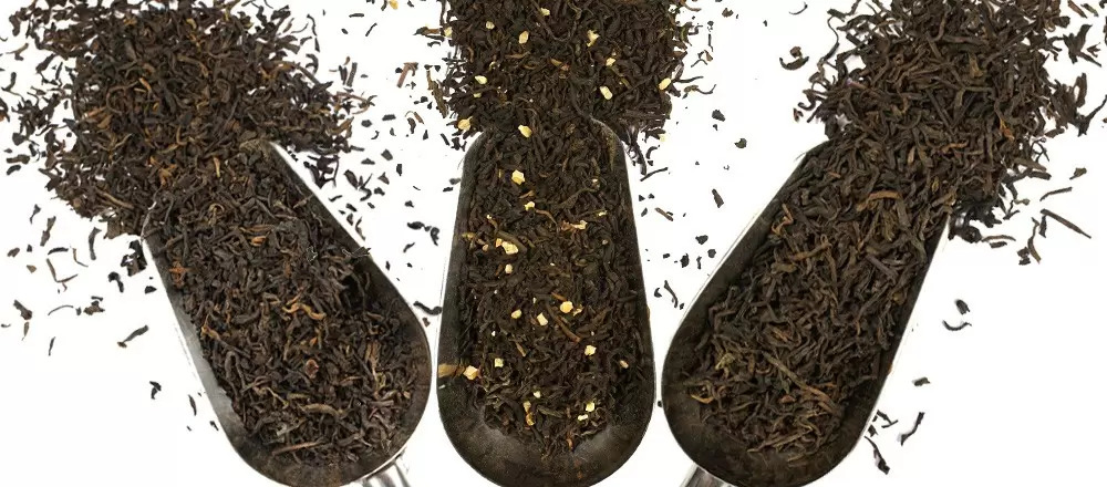 Pu erh Tea Buying Guide 