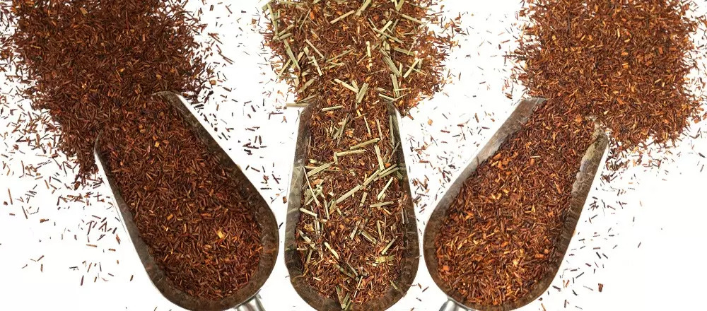 Rooibos Tea Buying Guide